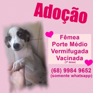 20160122233343