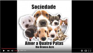 Sem título