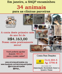 arte do mes de janeiro2 cópia
