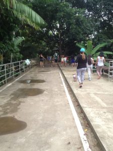 24e44db1-75c6-4d82-b0b6-5f90f004bfa1